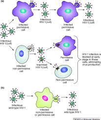 Image result for Infectivity