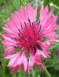 ������� ���������� ������� 0,1 �� �� � ?? ������