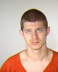 Accomplice of thief who stabbed K-9 sentenced