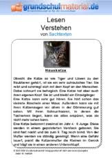 Sachtext tiere klasse 6 / sachtexte klassenarbeit die wikinger mit differenzierung und losungen unterrichtsmaterial im fach deutsch markiere die entsprechenden informationen im sachtext. Sachtexte Tiere Sachtexte Lesen Deutsch Klasse 3 Grundschulmaterial De