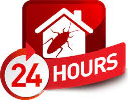 24 hour pest control team. 24 Hour Pest Control Emergency Exterminator Services Pests R Us
