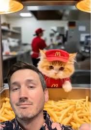 Ai Cats Working at Mcdonalds
