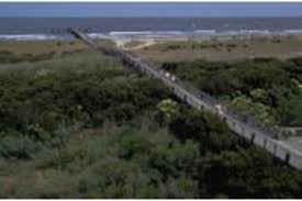 Nearly all parks and historic sites have recovered and a beach ridge created by the action of the waves of the gulf, grand isle serves as a breakwater between the gulf and the network of inland channels that. Campground Details Grand Isle State Park La Website Name