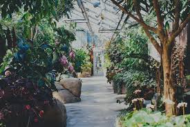 Welcome to publix super markets. Commercial Residential Plant Service Installation Sarasota Bradenton Fl