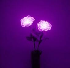In this article we show you how to design your own artwork, find the right spotify playlist cover size, and discover whether there's a playlist cover maker that will create them for you automatically. 190 Dark Purple Aesthetic Ideas Purple Aesthetic Dark Purple Aesthetic Purple