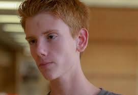 BOYS CROSS COUNTRY: Cerebral palsy can't stop Crown Point's Labus