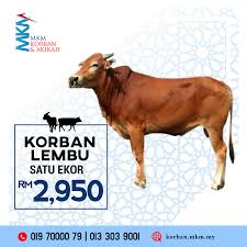 1,736 likes · 1 talking about this · 37 were here. Korban Lembu 1 Ekor Karya Pis Sdn Bhd