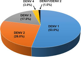 During 2021 malaysia population is projected to increase by 494,259 people and reach 33,140,178 in the beginning of 2022. Clinical Manifestations Of Dengue In Relation To Dengue Serotype And Genotype In Malaysia A Retrospective Observational Study Abstract Europe Pmc