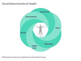 Pin By Sarena Richardson On Diagnosis And Management In 2020 Health Education Health Economics Social Determinants Of Health