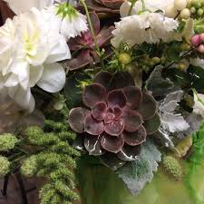 S Wright Shady Grove Gardens On Instagram Textured Bridalbouquet Of Scabiosa Amaranth Snowberries Cosmos Dusty Mill Dusty Miller Shady Grove Succulents