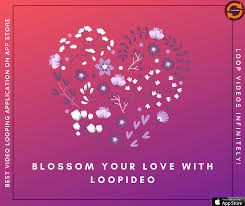 However, finding the best app to help you loop videos for instagram professionally isn't that easy. Loopideo Photos Facebook