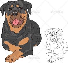 We did not find results for: 32 How To Draw Ideas Rottweiler Drawings Dog Art