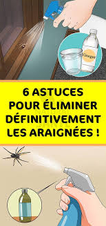 6 Astuces Pour Eliminer Definitivement Les Araignees Eliminer Huile Essentielle Citron Astuces