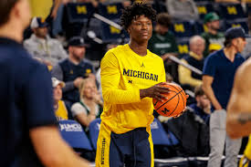 Michigan guard lone player to enter transfer portal upon coaching change
