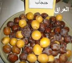 تمر الجبجاب قسم التمور مع الصور قسم التمور انواع الاسماك مع الصور معلوماتية نبات حيوان اسماك فوائد Fruit Food Grapes