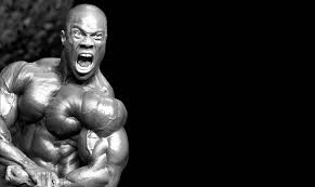 phil heath workout routine and t
