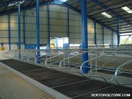 Buyukbas Hayvan Yataklari Imalati Kaucuk Buyukbas Hayvan Yataklari Bursa Buyukbas Hayvan Yatagi Sektorgezgini Com