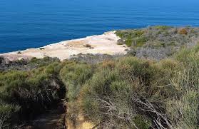 The central coast is the perfect place for the informed international visitor to live like a local. Central Coast Australia