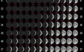 La luna llena en leo nos invita a descubrir qué nos hace únicos e irrepetibles y en qué somos los mejores, ya que nada nos hará más felices que encontrar nuestro propio camino. Calendario Lunar Del Ano 2021 Cute766