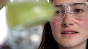 Department of Plant Sciences researcher, Katherine Helliwe…