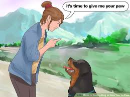 Jim would give me any mail with my name on it, and take the rest up to his office to sort and process. How To Teach My Dog To Smile On Command Dogwalls