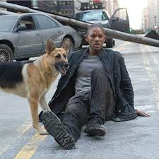 We have collected some information regarding the film that you may find. I Am Legend 2 Legends Never Die