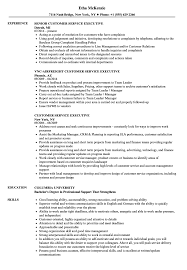 Customer Service Executive Resume Samples Velvet Jobs