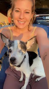 This is Georgia. The clinic I work at pulled her from a rural Georgia  shelter because she was going to be euthanized because of her eyes. She is  the sweetest girl and