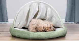 Bed so plush that cats love to. 17 Best Dog Beds 2021 The Strategist New York Magazine
