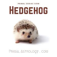 In short, water signs tend to be highly empathic, extremely intuitive and for good or bad, very emotional. Primal Astrology Spirit Of The Hedgehog