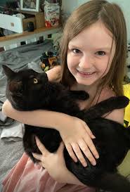 LINCOLN UK LOST AND FOUND PETS