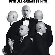 Pin On Pitbull