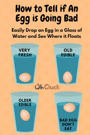 How do you know if an egg is spoiled? 46 Unusual Facts About Chickens You Might Not Know Ohcluck Com
