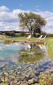 27 Naturliche Familienpools In Denen Sie Sofort Tauchen Mochten In 2020 Schwimmteich Naturschwimmbad Bauernhof Teich