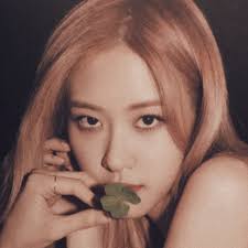 Blackpink wallpapers for free download. Aesthetic Full Hd Rose Blackpink Wallpaper Allwallpaper