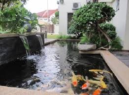 Kolam jenis ini sangat cocok digunakan untuk memberikan sentuhan pada interior yang dirasa kurang mendapatkan dekorasi. 15 Desain Kolam Ikan Koi Minimalis Di Dalam Rumah