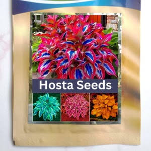 Buy Hostas Seeds Online In India - Etsy India