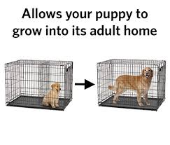 As they get bigger, you'll gradually move the divider to increase the. How To Use A Dog Crate Divider And Make Your Own
