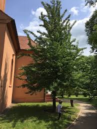 Check spelling or type a new query. Herr Von Ribbeck Auf Ribbeck Im Havelland Ein Birnbaum In Seinem Garten Stand Picknick Unter M Apfelbaum