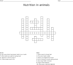 Nutrition In Animals Crossword Wordmint