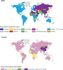 How has breast cancer progressed over the years? Global Cancer Incidence And Mortality Rates And Trends An Update Cancer Epidemiology Biomarkers Prevention