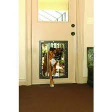 choosing the right dog door dogtipper com pet door dog door large dog door