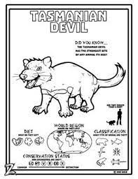 Tasmanian devil coloring pages are a fun way for kids of all ages to develop creativity, focus, motor skills and color recognition. Pin On Zoo Wild Educational Resources