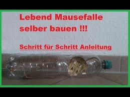 Was Man Beim Aufstellen Einer Wuhlmausfalle Beachten Sollte Wie Es Richtig Geht Und Welche Fehler Man Vermeiden Kann Mausefalle Selber Bauen Tipps Tricks