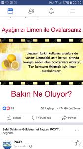 Sariye Ceylan Adli Kullanicinin Faydali Bilgiler Panosundaki Pin Yorum