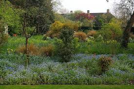 Jekyll Border In The Trinity College Fellows Garden Trinity College Favorite Places Country Roads