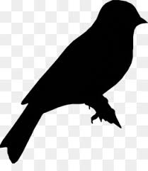 Gambar kartun lucu hitam putih harian nusantara. Download 98 Gambar Burung Gagak Kartun Terbaru Gratis
