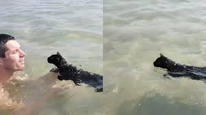 Pouch［ポーチ］