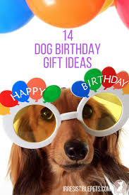Fun Things To Do On Your Dog S Birthday What Do You Buy A Dog For Their Birthday Here Are 14 Dog Birthday Gift Ideas For The Pet Parent That Trea Dog Birthday Gift Dog Birthday Presents Dog Birthday