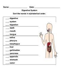 Drag and drop letter tiles onto the grid starting on the top row, going left to right. Abc Sort Tool Create Custom Alphabetical Order Worksheets For Your Class With Abctools